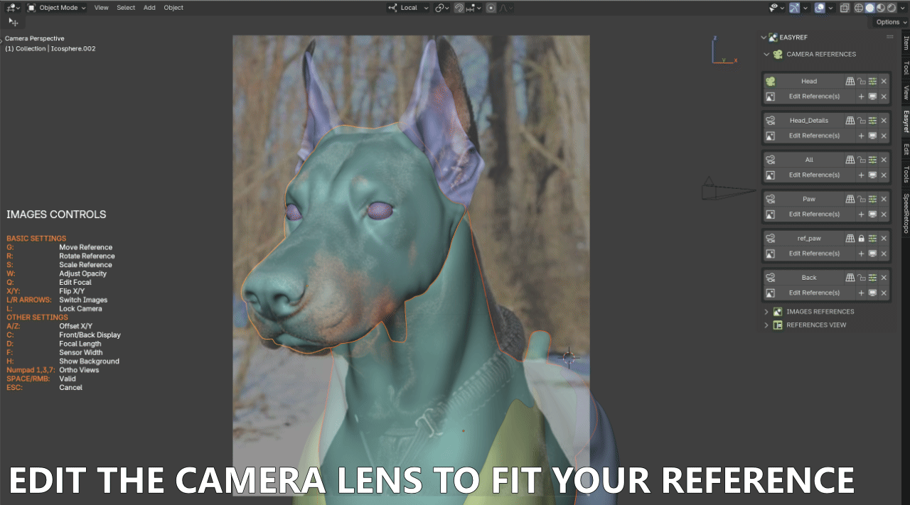 Camera Lens Adjustment