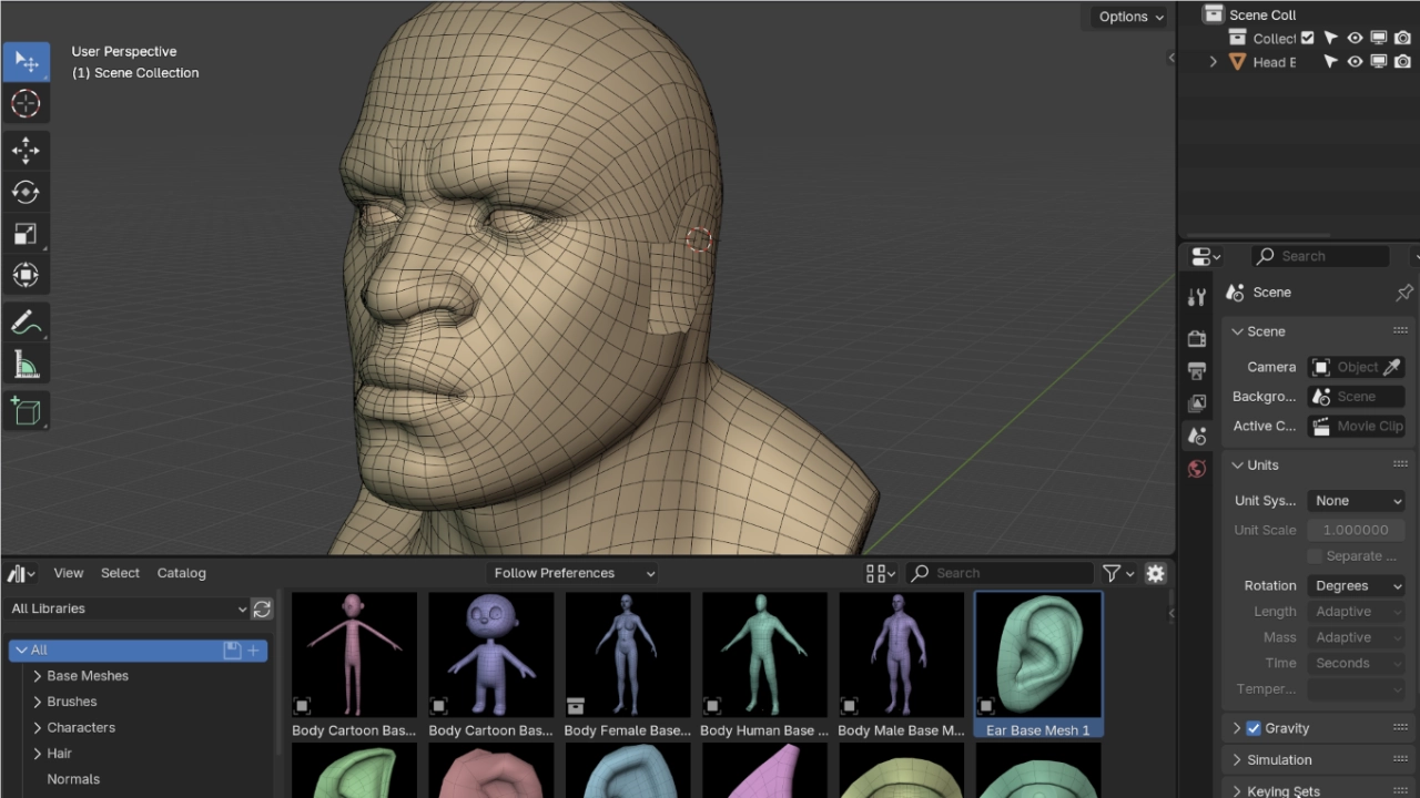 Base Meshes
